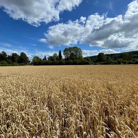 La Petite Maison De - Privees - 5 Etoiles Au Coeur Du Village ジヴェルニー