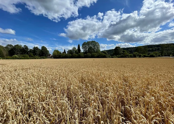 La Petite Maison De - Privees - 5 Etoiles Au Coeur Du Village Giverny